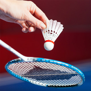 Badminton Image