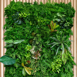 Decorative Fences Image