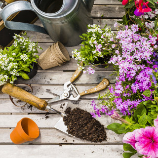 Garden & Patio Image